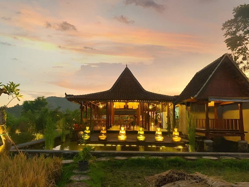 Anandinii Organic Garden & Kitchen