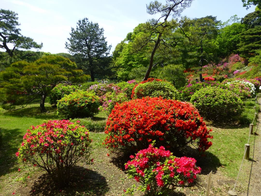 Rikugien Garden