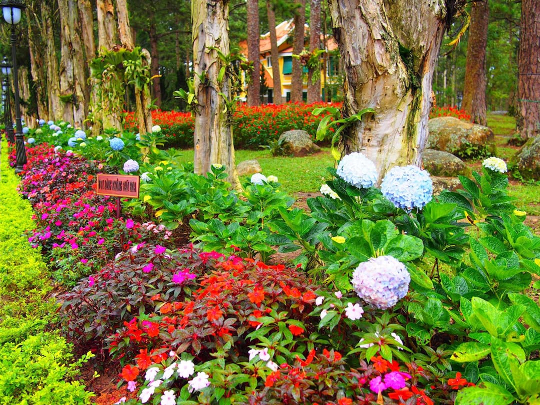 Bao Dai's Palace - King's Palace 1 (Dinh 1)