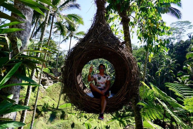 Terrace River Pool Swing
