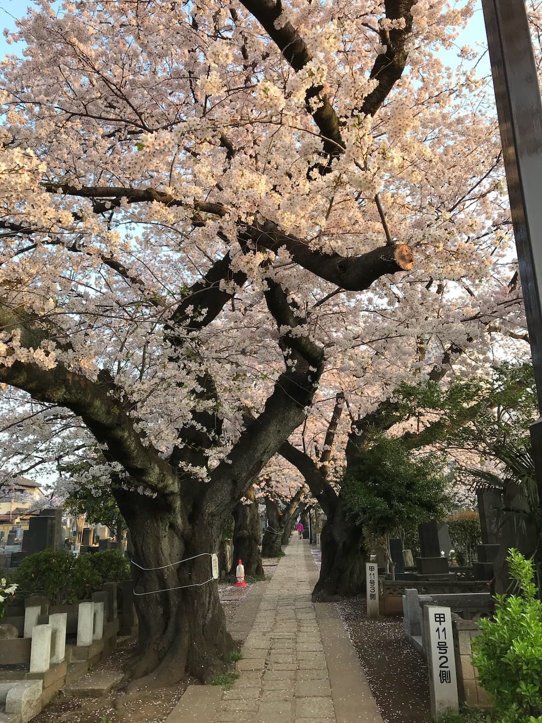 Yanaka Cemetery