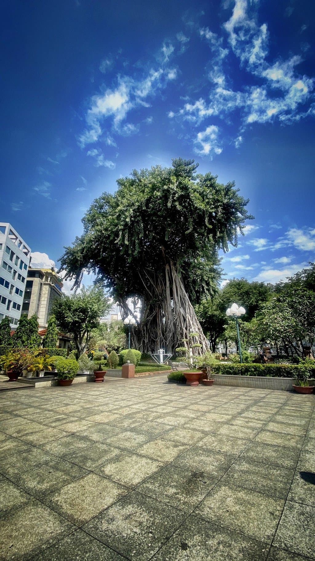 Cong vien Bach Tung Diep