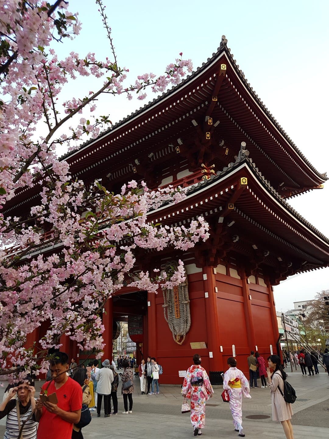 Nakamise Shopping Street (Kaminarimon)