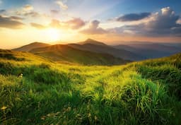 Lighthouse Tour Guide Avatar